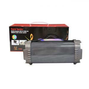 iPhoenix Digital Speaker In Gray